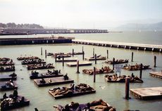 Fishermans-Wharf-3.jpg